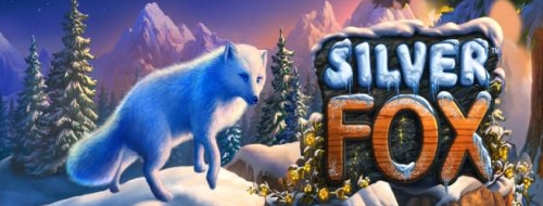 Silver Fox online spielen