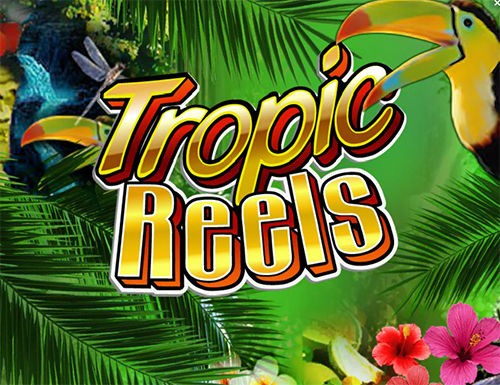 tropic reels online slot im william hill casino online spielen