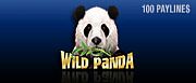 Wild Panda