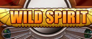 Wild Spirit